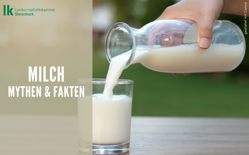 Milch: häufige Fragen und Mythen