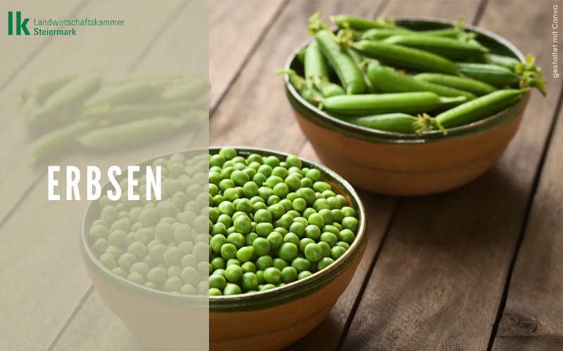 Erbsen