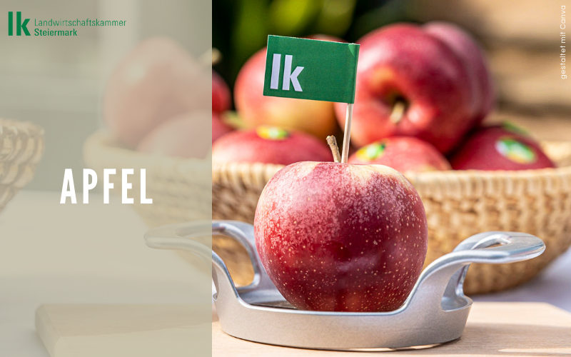 Apfel