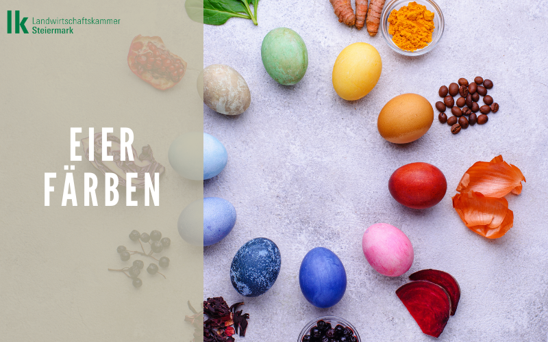Ostereier: natürlich bunt!