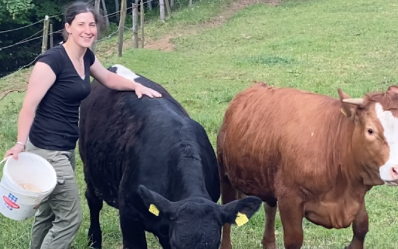 Zu Gast am Styra Beef-Betrieb