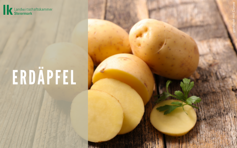 Erdäpfel