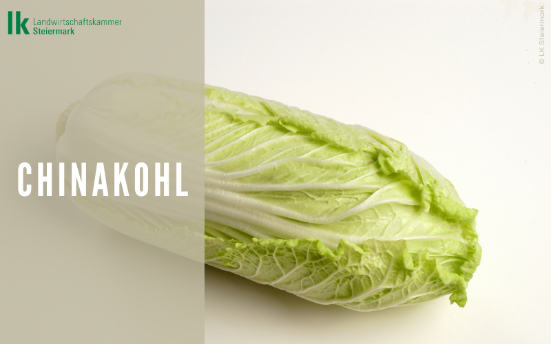 Chinakohl