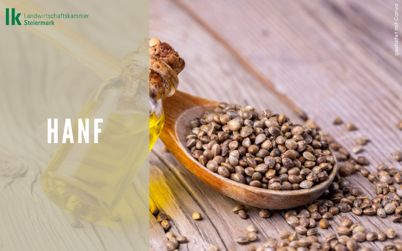 Lebensmittel der Woche: Hanf