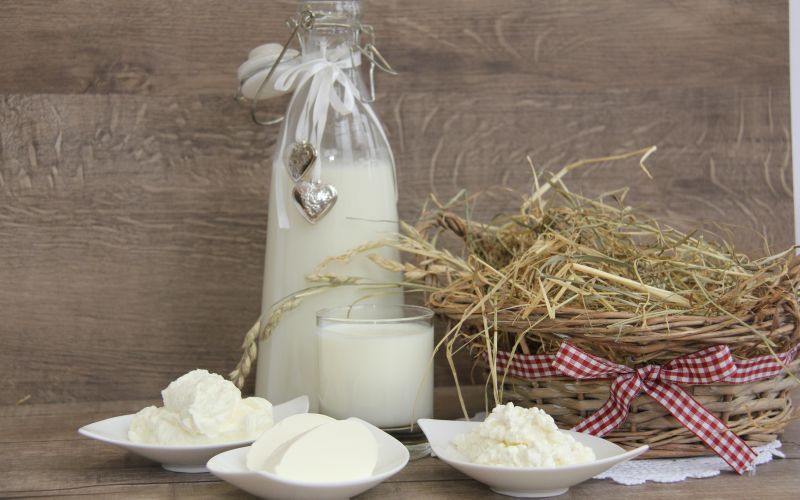 Milchlehrpfad