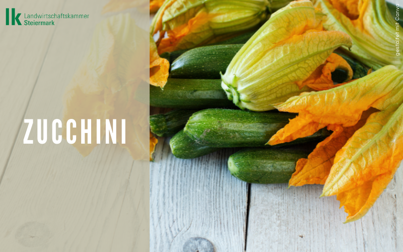 Zucchini