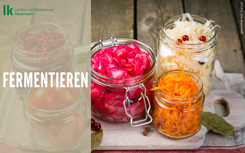 Gemüse fermentieren