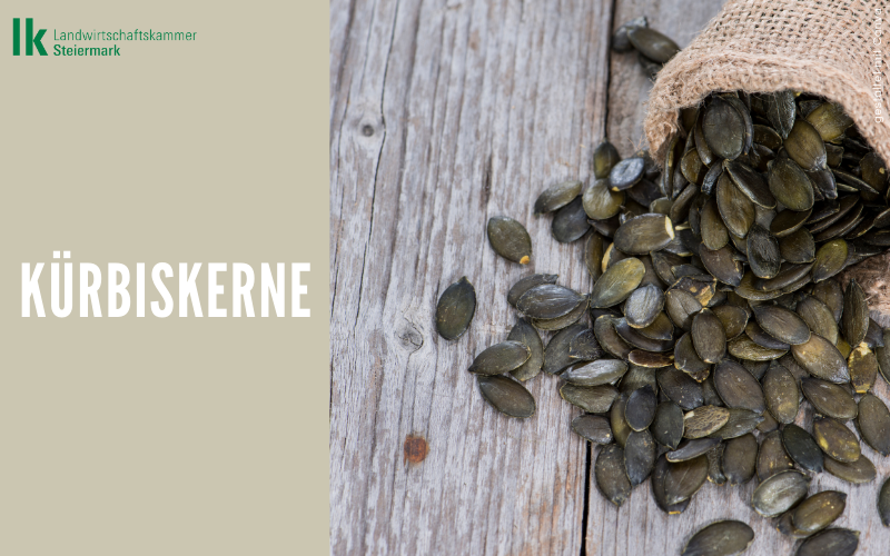 Kürbiskerne