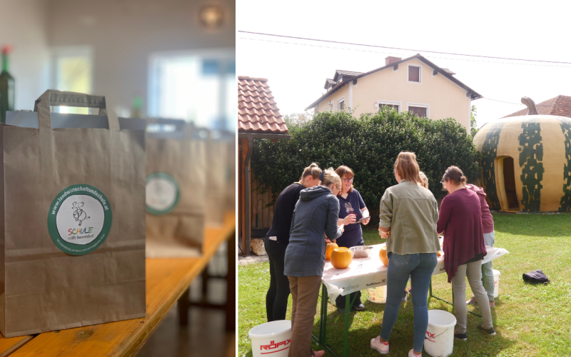 Schule trifft Bauernhof