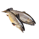 Fisch, Fleisch, Wurst und Eier Icon