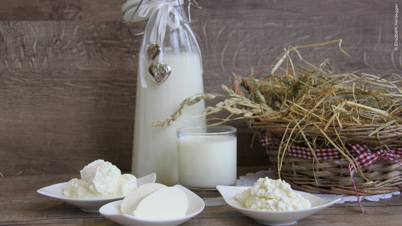 Milchverarbeitung kennen und lieben lernen