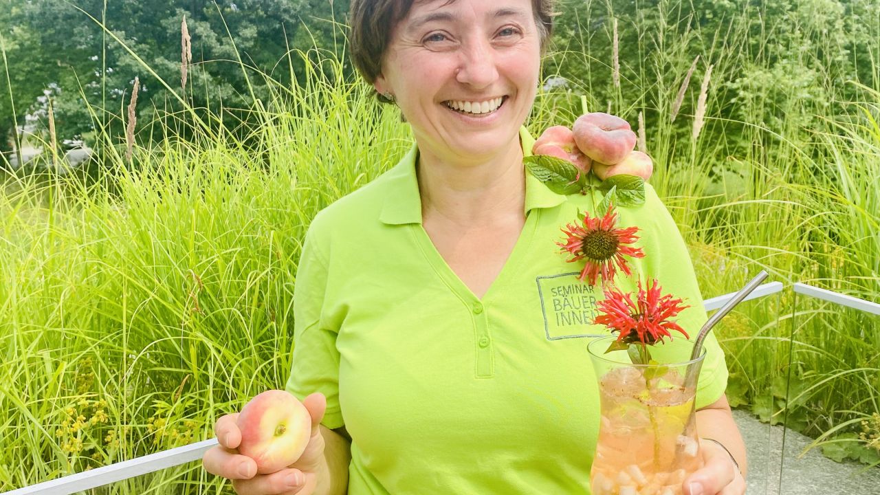 Sommerliche Getränkevielfalt