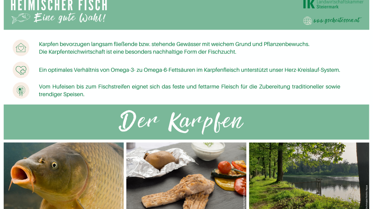 Karpfen