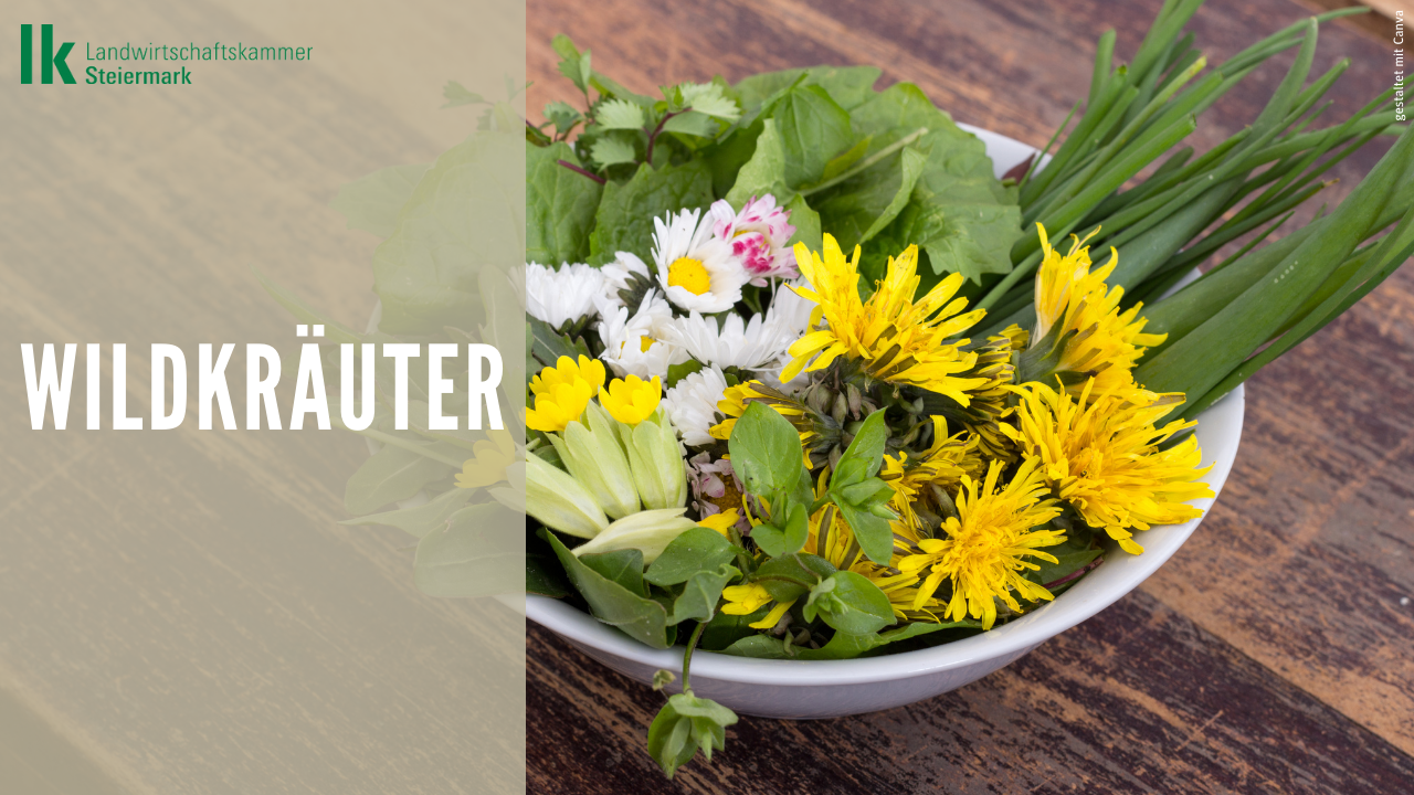Wildkräuter