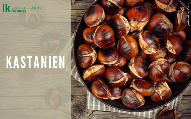 Kastanien