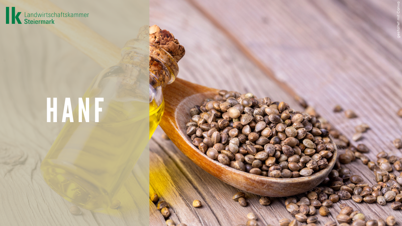 Lebensmittel der Woche: Hanf