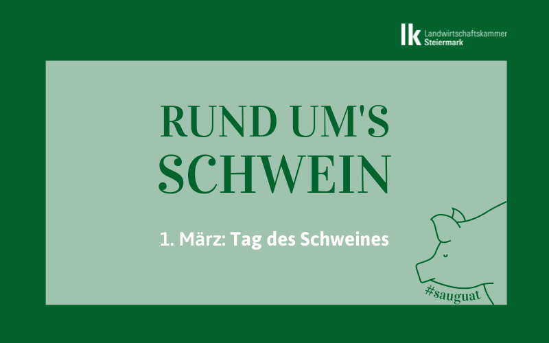 Tag des Schweines