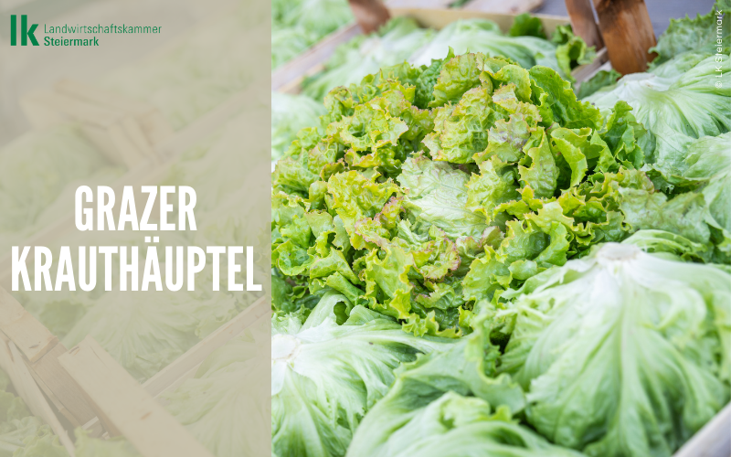 Grazer Krauthäuptel