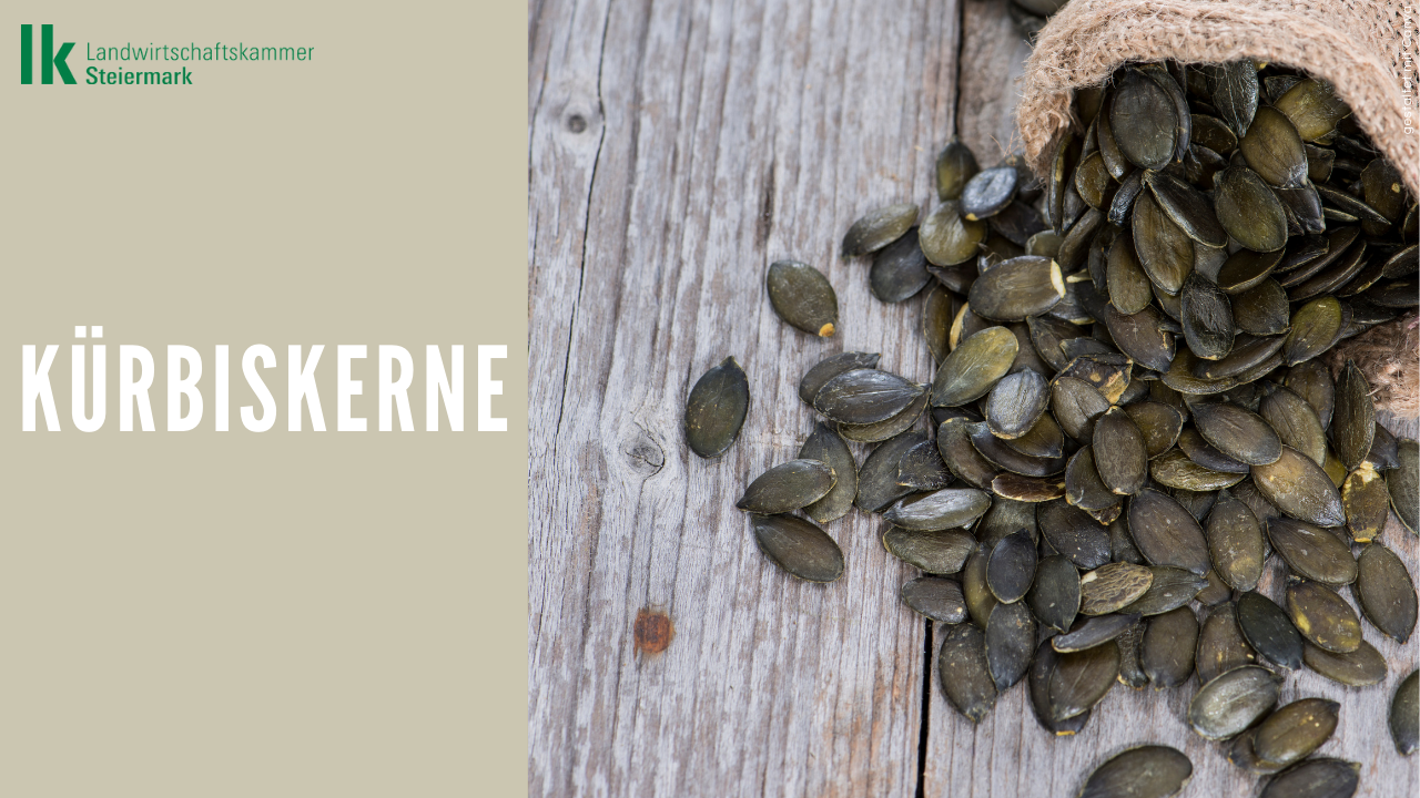 Kürbiskerne