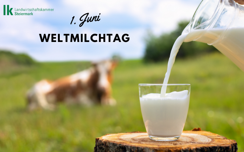 Weltmilchtag
