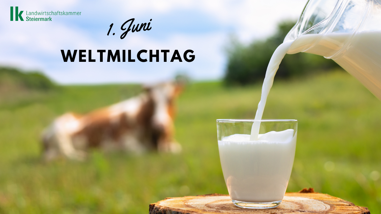 Weltmilchtag