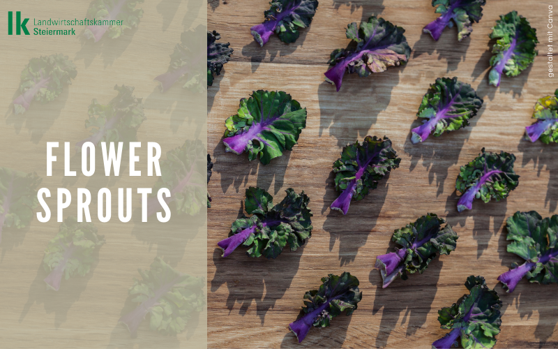 Flower Sprouts