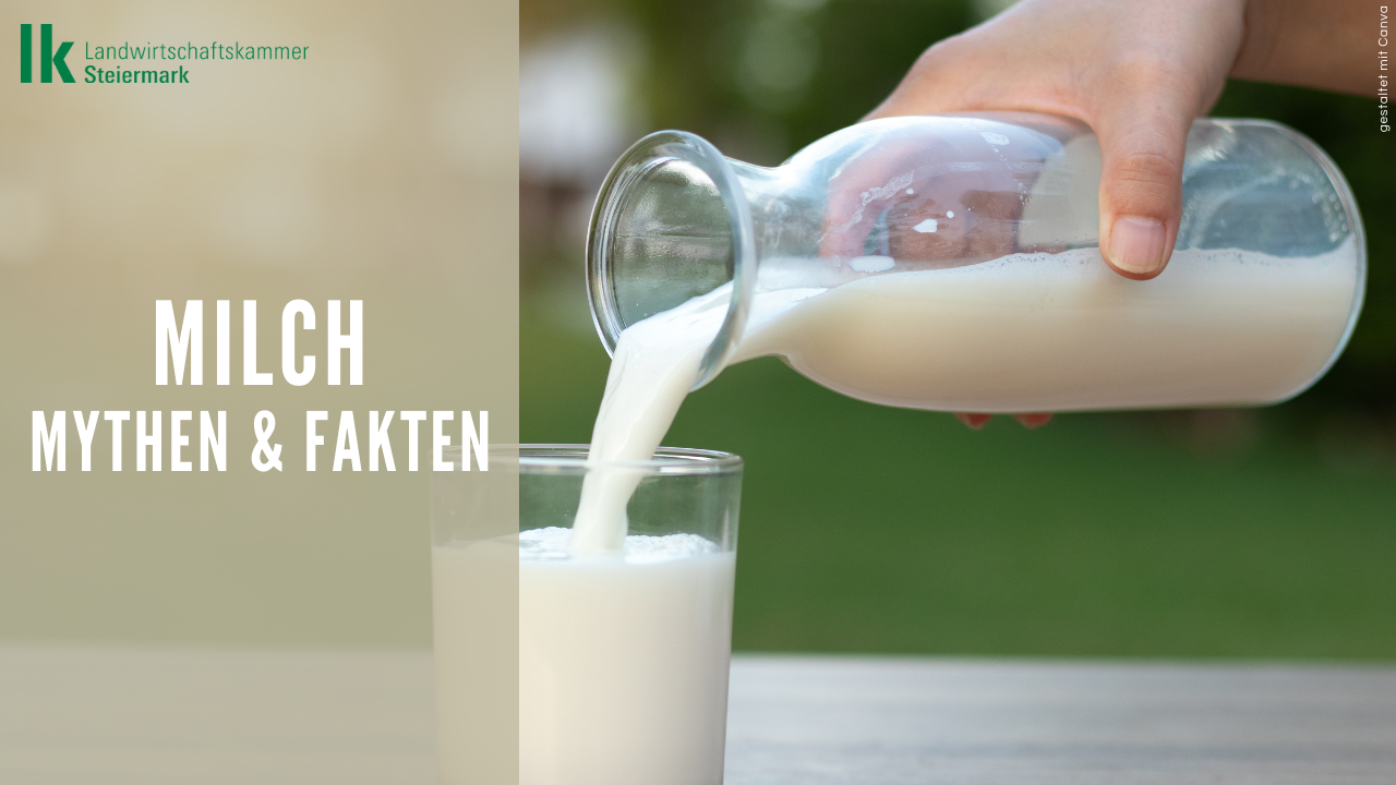 Milch: häufige Fragen und Mythen