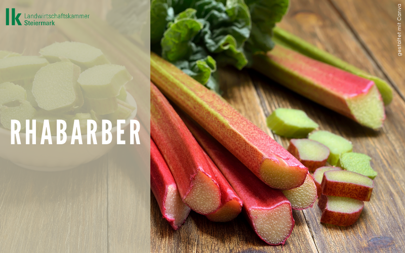 Rhabarber
